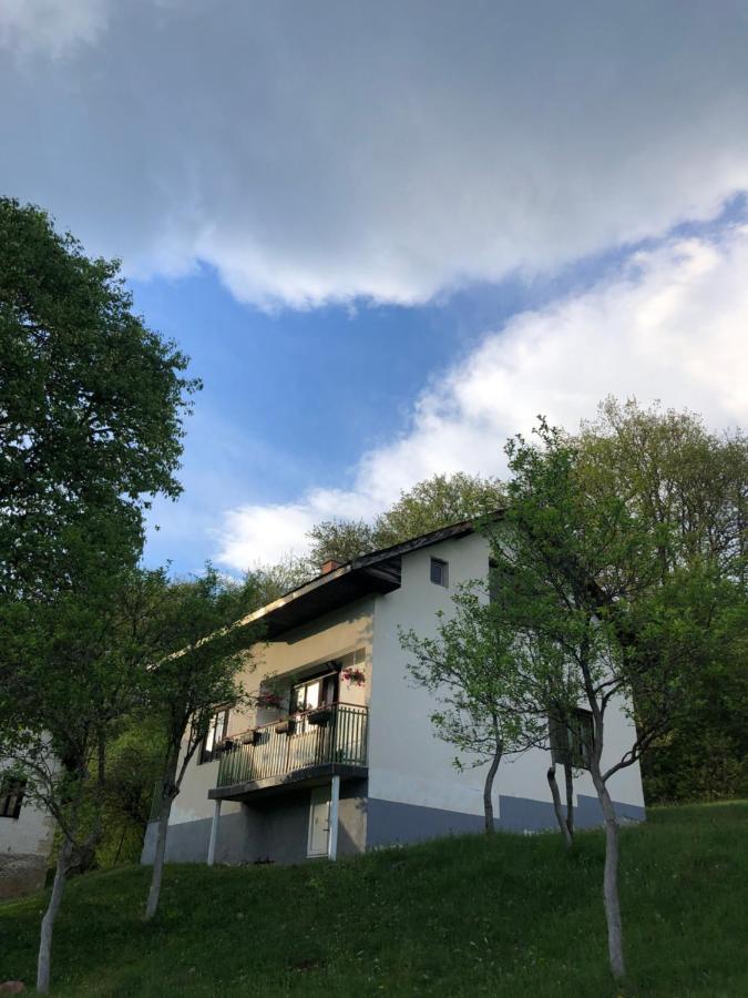 Etno Kuca Milidrag Villa Foca Eksteriør bilde